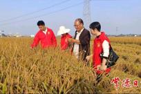 常德市农科院“农科专家沅澧行”志愿服务团获评省级“三下乡”活动优秀团队